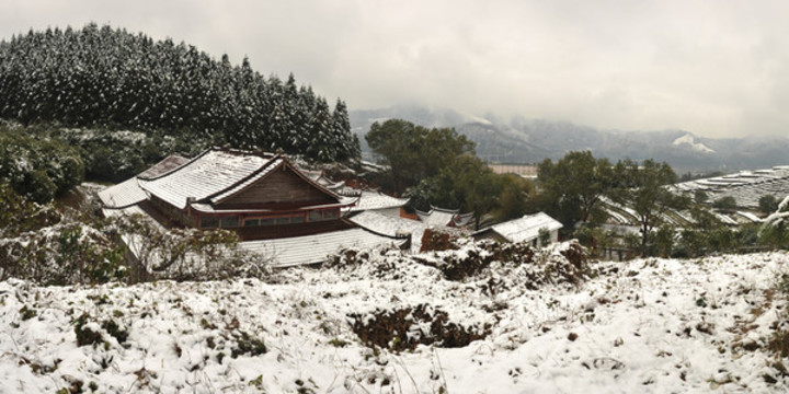 茶神廟北苑茶園雪景
