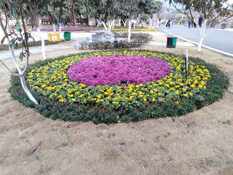 花壇