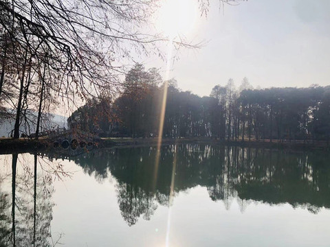 東湖一角
