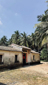 椰樹林邊的農(nóng)舍