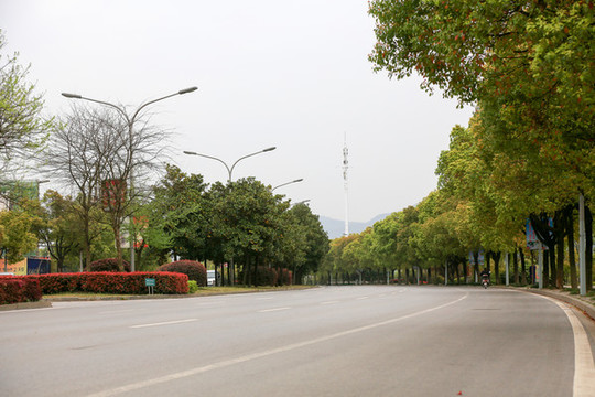 馬路