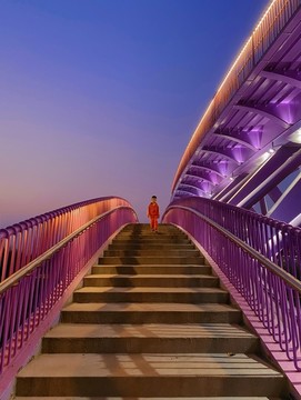雙流空港公園紫色人行天橋