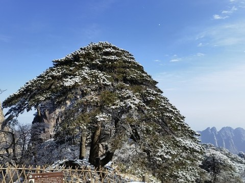 黃山雪景