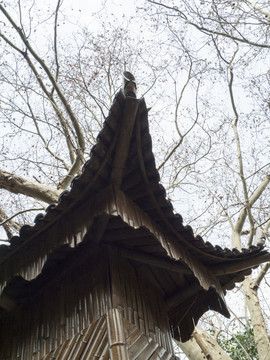 竹屋檐