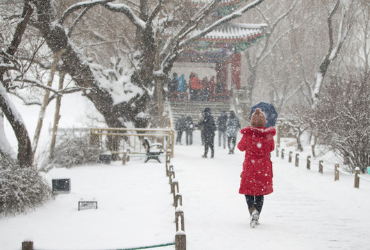 公園雪景