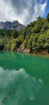 山水景