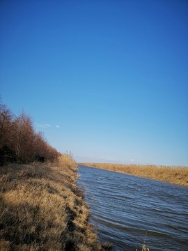 東灘濕地