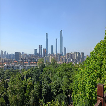 高樓