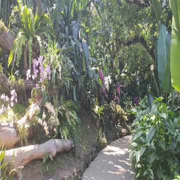 公園小路