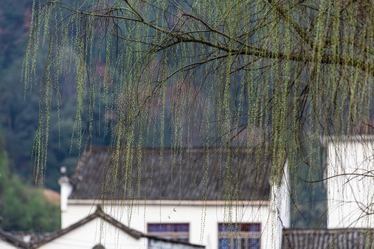 武義俞源村