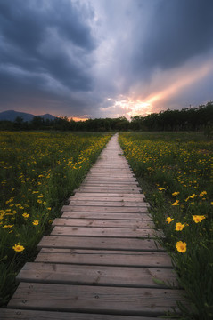 棧道
