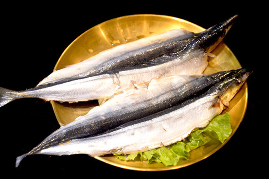 秋刀魚