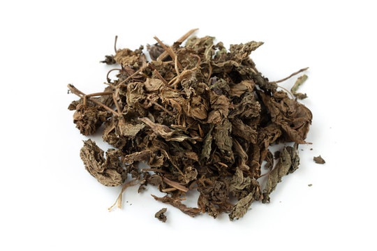 中藥紫蘇葉在白背景上
