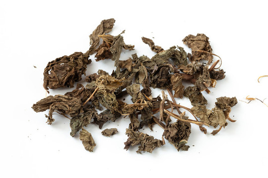 中藥紫蘇葉在白背景上