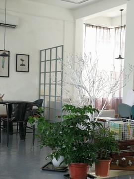 綠植小角落