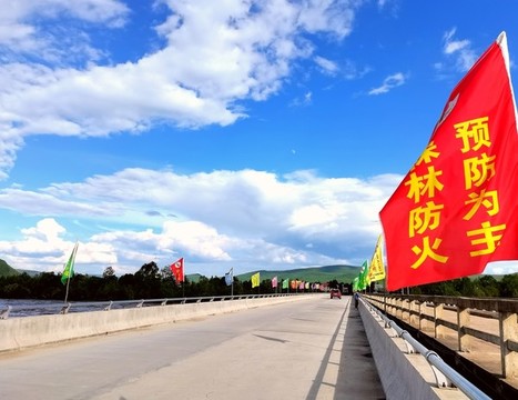 原始森林的云