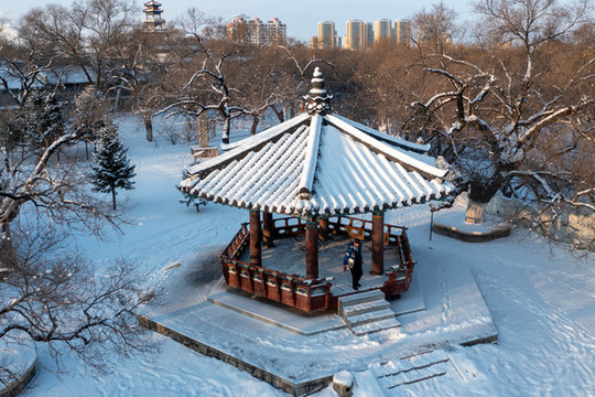 雪后景色美如畫