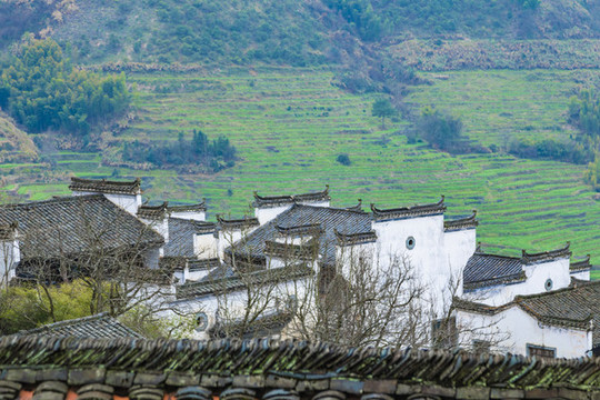 江西婺源篁嶺景區(qū)風(fēng)光
