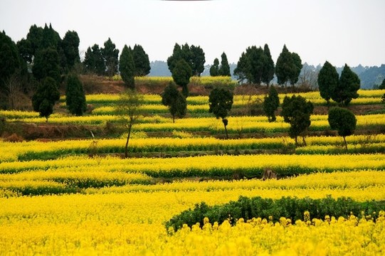 山區(qū)春色