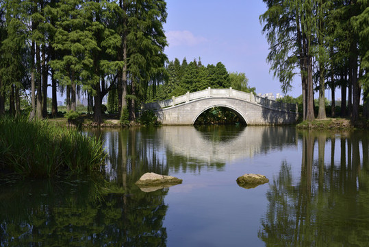 林間的石拱橋