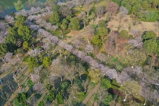 航拍淹城遺址公園