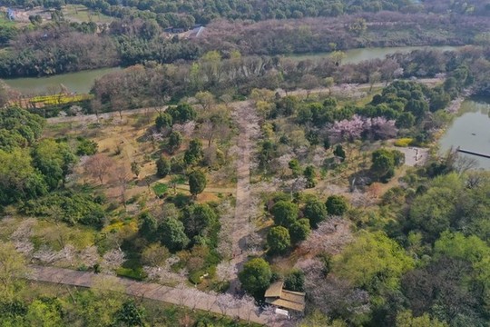 淹城遺址公園
