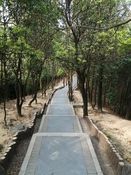 林間小路
