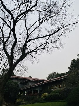 杭州龍井茶博物館