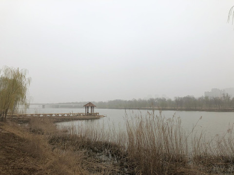 岔河1043