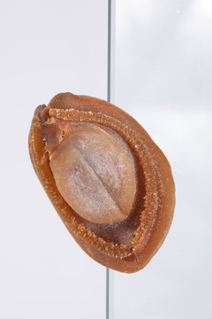 大鮑魚(yú)干大連海鮮干貨特級(jí)干鮑