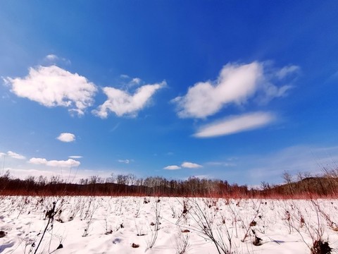 大興安嶺早春二月