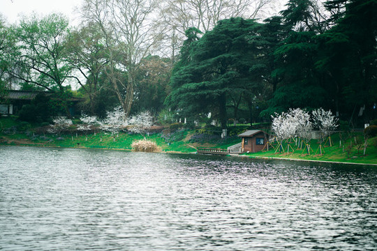 公園湖水