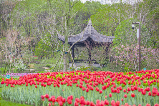 嘉興南湖景區(qū)