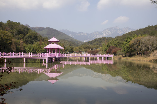 粉色橋