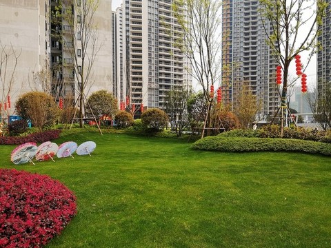 小區(qū)綠化