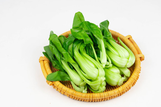 青菜