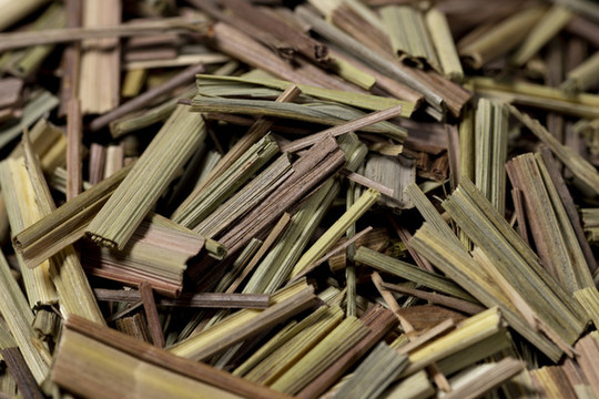 茅草檸檬草