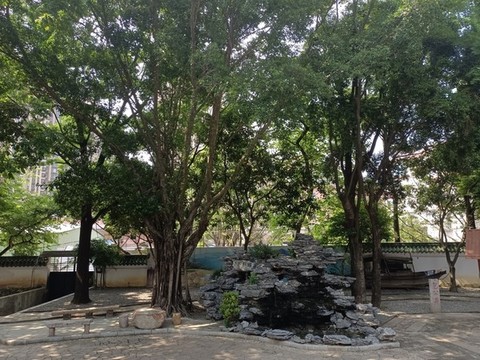 假山實(shí)拍圖