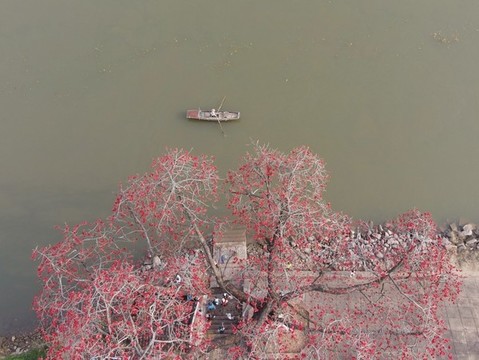 紅棉水鄉(xiāng)勒北