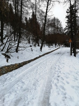 雪地小路