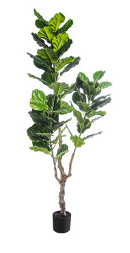 植物花草盆景盆栽