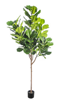 植物花草盆景盆栽