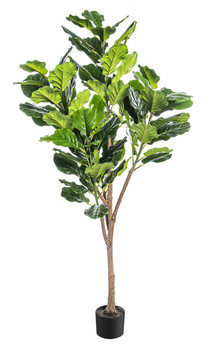 植物花草盆景盆栽