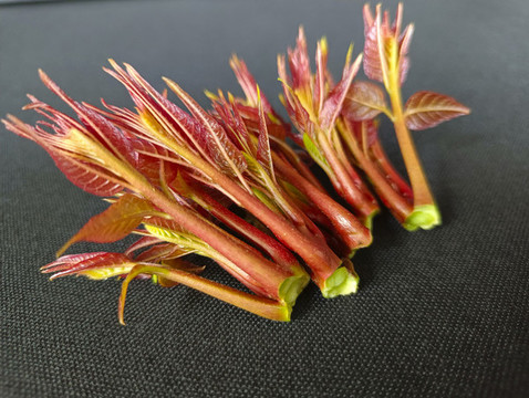 農(nóng)家美食香椿頭