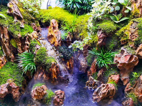 青山綠水盆景