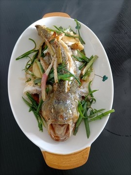 清蒸鱸魚