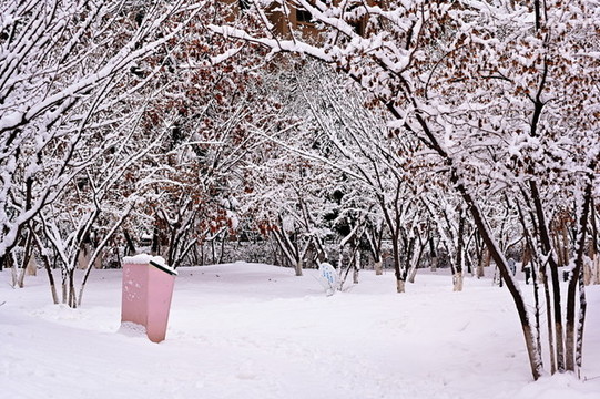 春雪