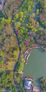 疫情下的青楓公園