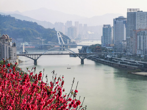 桃花城市