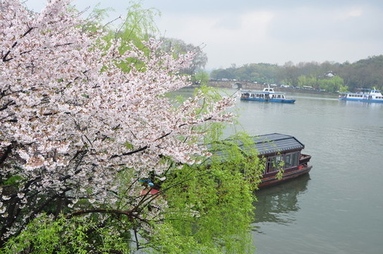 杭州西湖游船